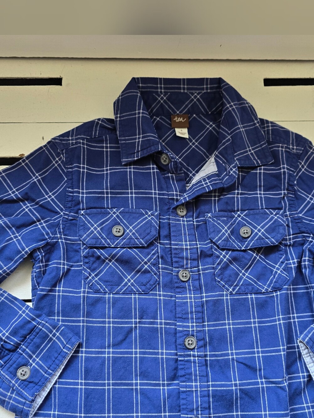 Tea Collection Blue Plaid Button-Down Shirt